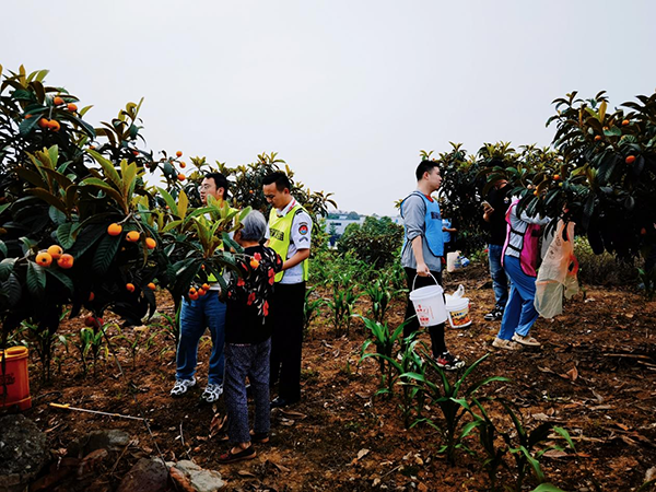 1684140680639280.png 第八黨支部開(kāi)展“南郊鄉(xiāng)匯·愛(ài)心助農(nóng)” 志愿者活動(dòng)2.png